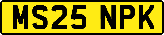 MS25NPK