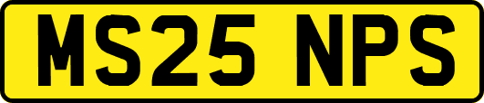 MS25NPS