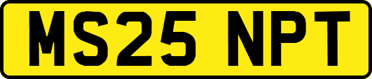 MS25NPT
