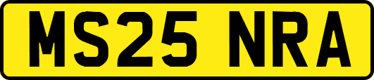 MS25NRA