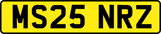 MS25NRZ