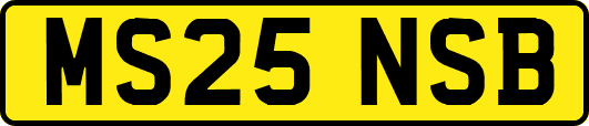 MS25NSB