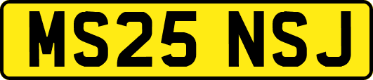 MS25NSJ