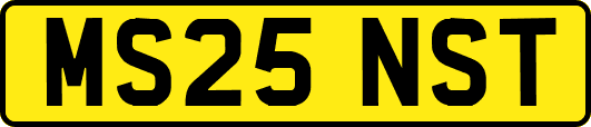 MS25NST