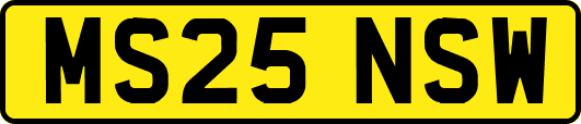 MS25NSW