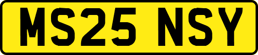MS25NSY