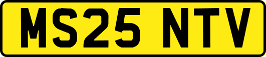 MS25NTV