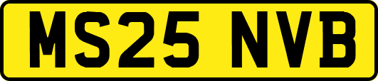 MS25NVB