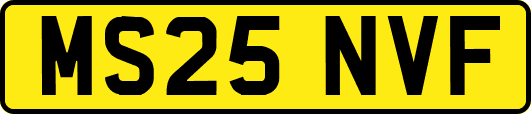 MS25NVF