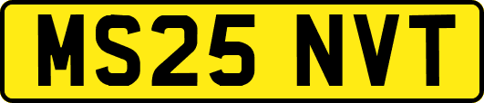 MS25NVT