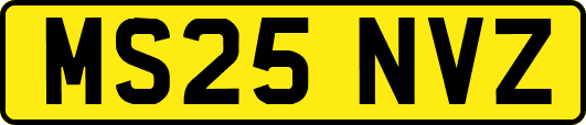 MS25NVZ
