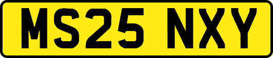 MS25NXY