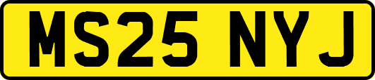 MS25NYJ