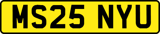 MS25NYU