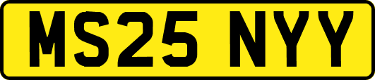 MS25NYY