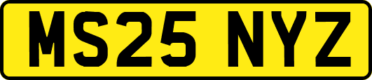 MS25NYZ