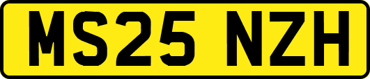 MS25NZH