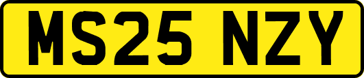 MS25NZY