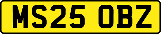 MS25OBZ