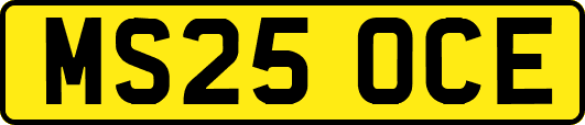 MS25OCE