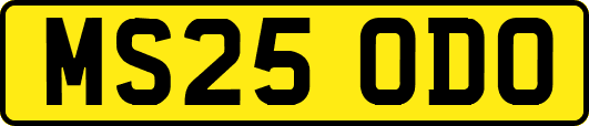 MS25ODO