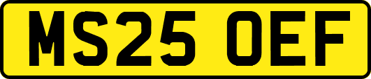 MS25OEF