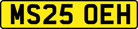 MS25OEH