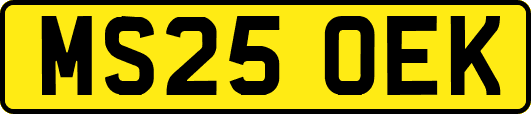 MS25OEK