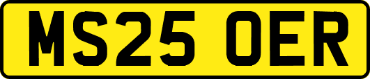 MS25OER