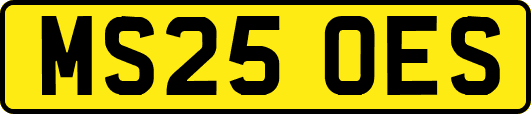 MS25OES