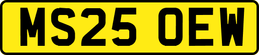 MS25OEW