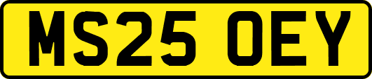 MS25OEY