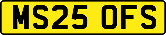 MS25OFS