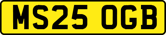 MS25OGB