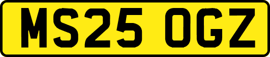 MS25OGZ