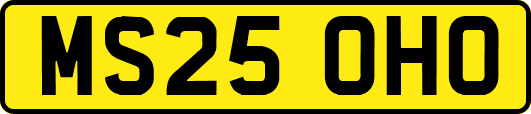MS25OHO