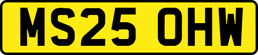MS25OHW