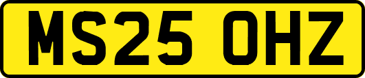 MS25OHZ