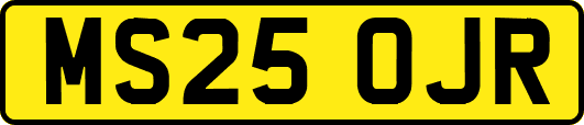 MS25OJR