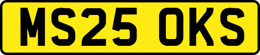 MS25OKS