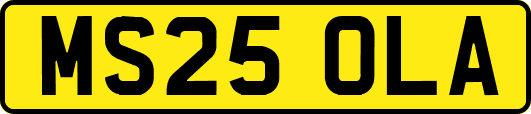 MS25OLA