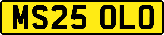 MS25OLO