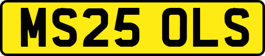 MS25OLS