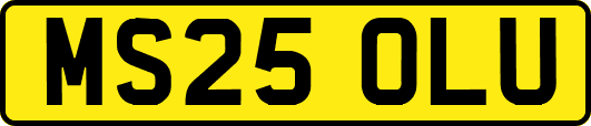 MS25OLU