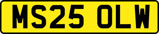 MS25OLW