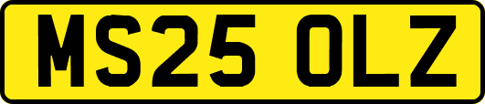 MS25OLZ