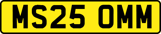 MS25OMM