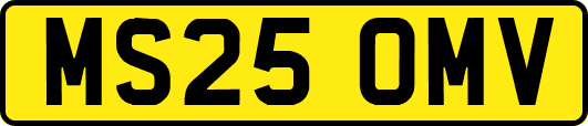 MS25OMV