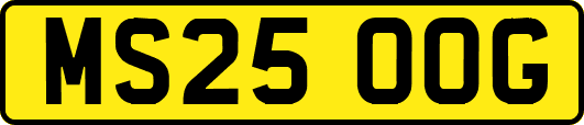 MS25OOG