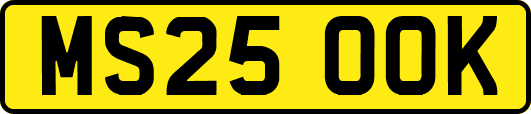 MS25OOK
